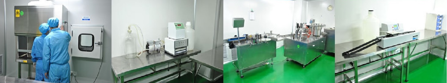 Company Overview